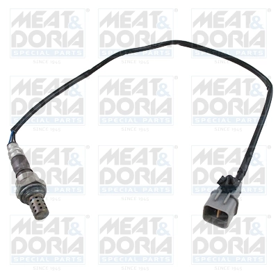 Oxygen Sensor